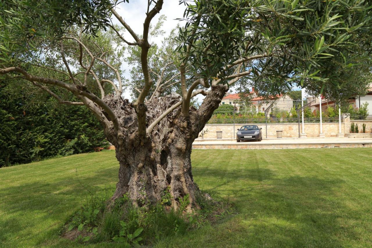 Villa Carolus ISTRIA Barat Barat  Bagian luar foto